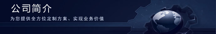 华文数据技术有限公司